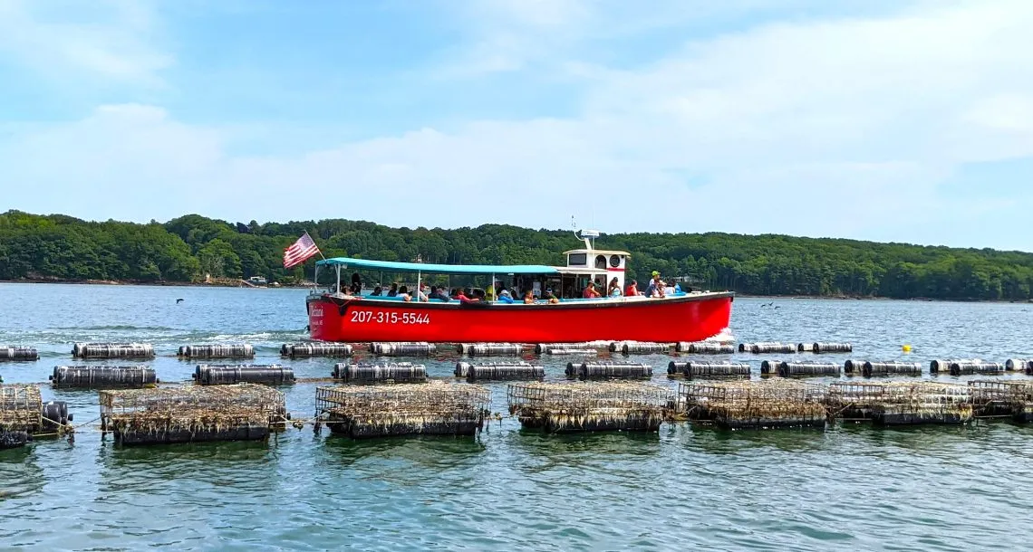 Oyster Farms and Seal Watching Cruise | Damariscotta River Cruises